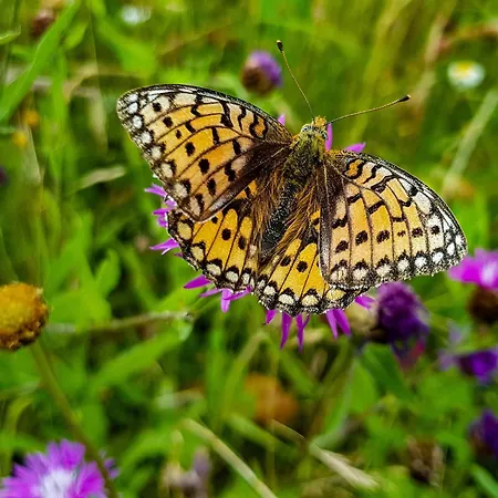 Wasserkuppe 리조트 3*