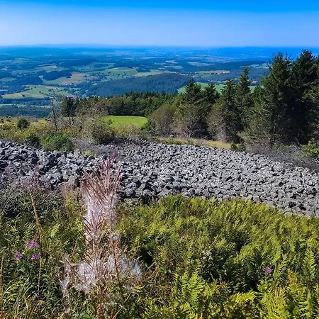 리조트 Wasserkuppe