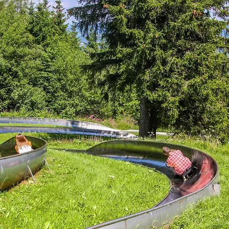 리조트 Wasserkuppe 게르슈펠트