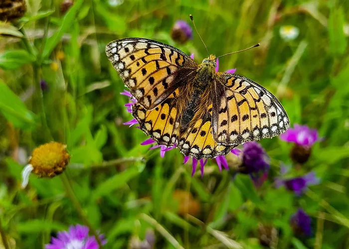 Wasserkuppe Курортный комплекс 3*